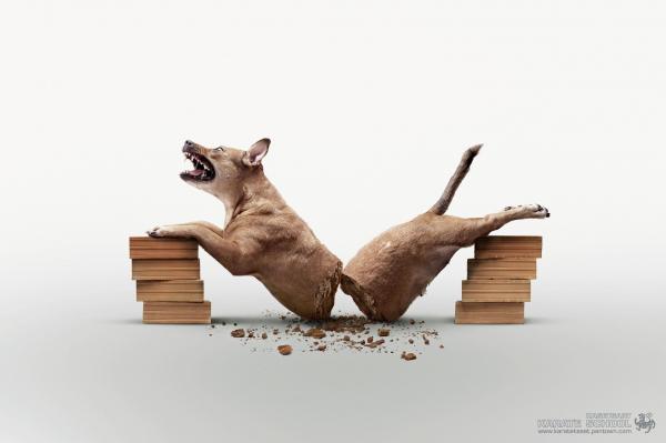 karate-school-mad-dog-small-32733